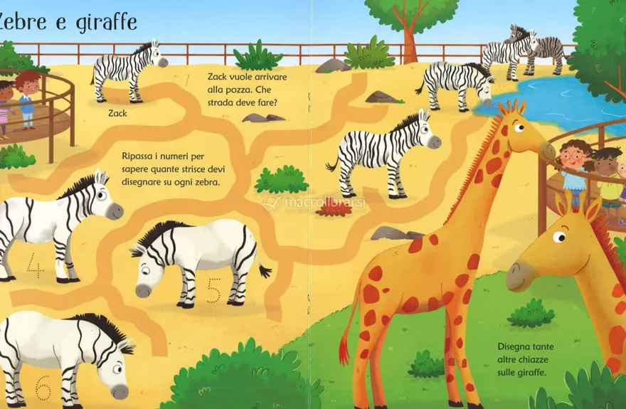 Disegno e Cancello - Lo Zoo