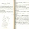 Di Seme in Meglio
