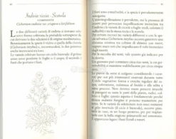 Di Seme in Meglio