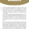 Diverso e Vincente