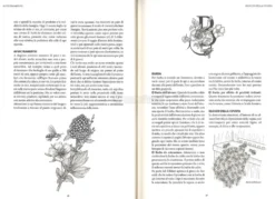 Dizionario di Apicultura