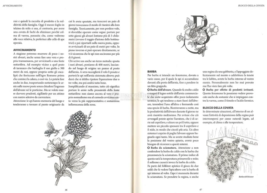 Dizionario di Apicultura