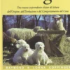 Dogs