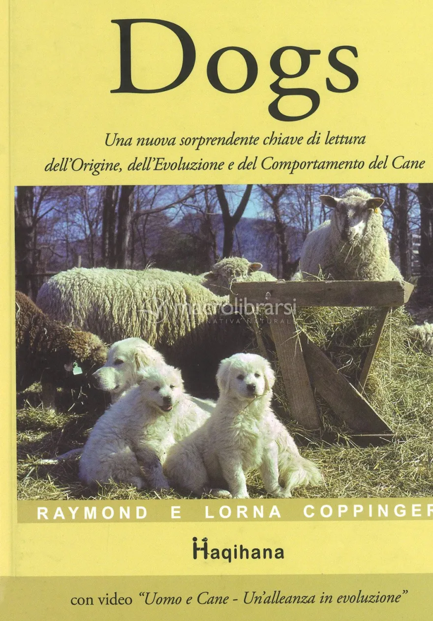 Dogs