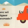Dove Sei Signora Zebra?