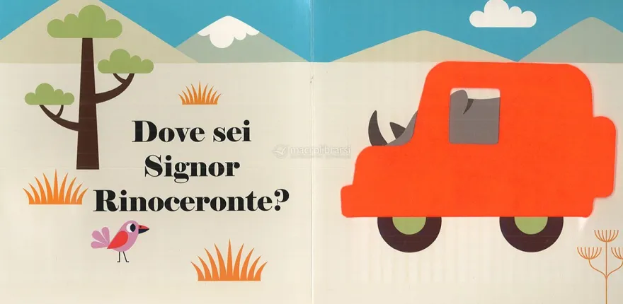 Dove Sei Signora Zebra?