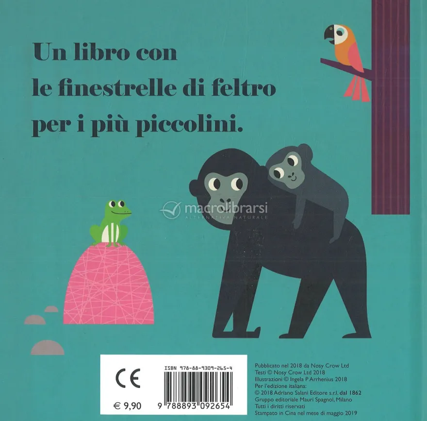 Dove Sei Signora Zebra?