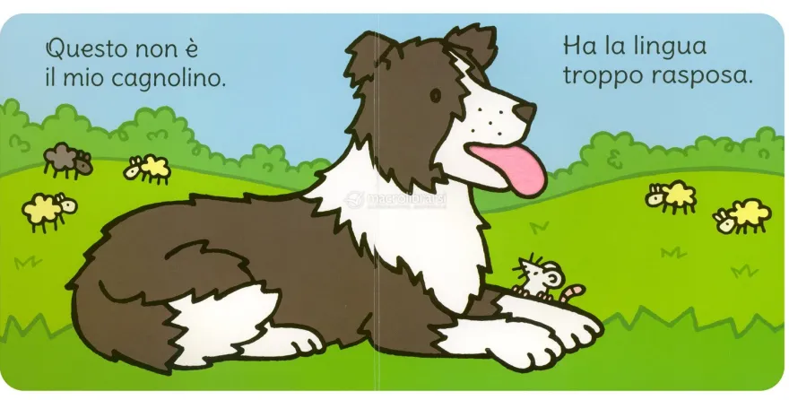 Dov'è il Mio Cagnolino?