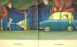 Dov'è Orso?