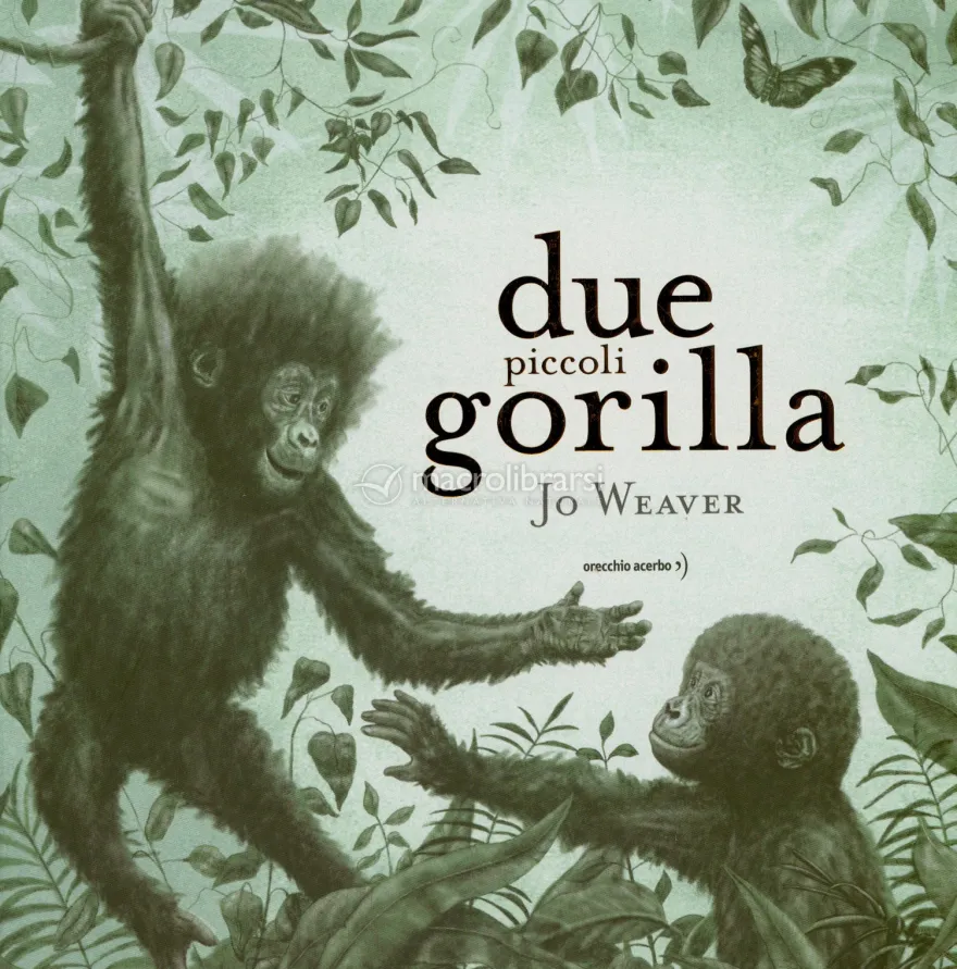 Due Piccoli Gorilla