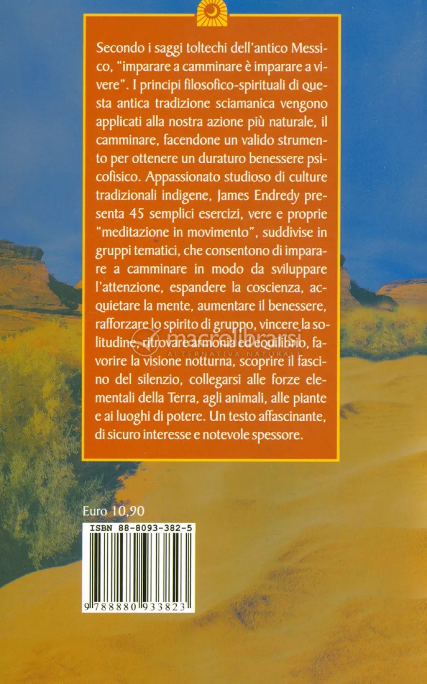 Earthwalks, Meditazione in Movimento