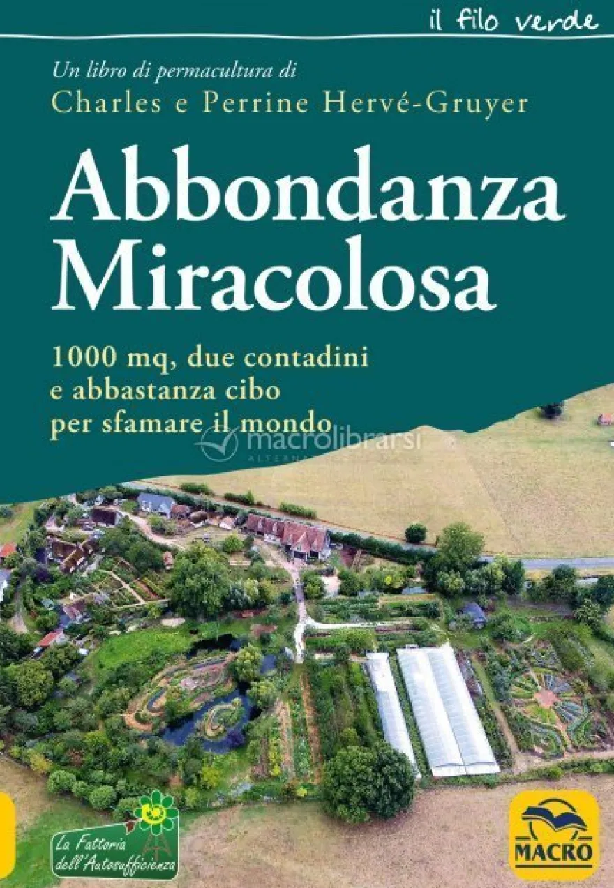 eBook - Abbondanza Miracolosa - EPUB