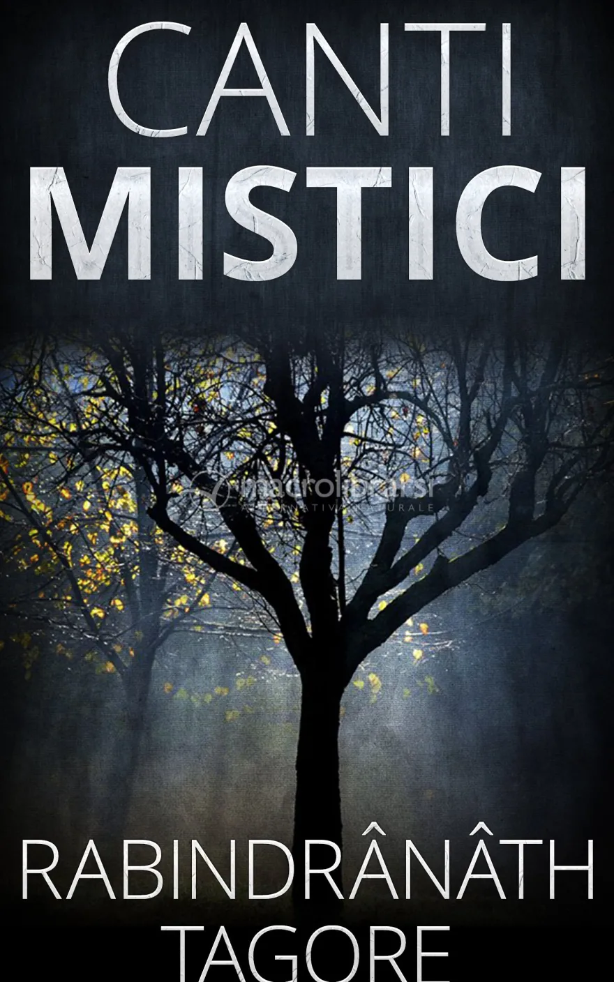 eBook - Canti Mistici