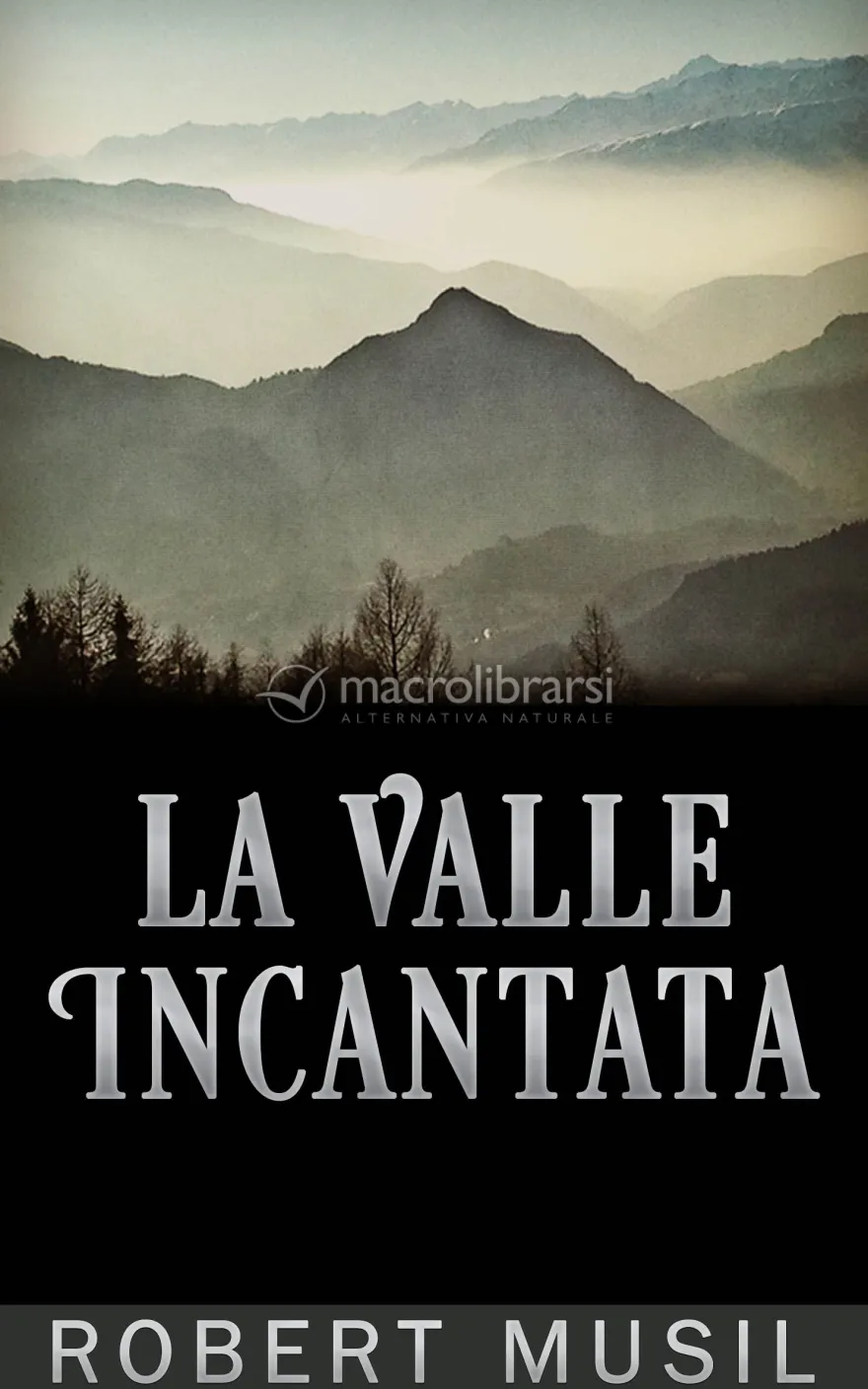 eBook - La Valle Incantata