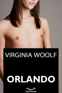 eBook - Orlando