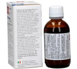 Echinacea - Macerato di Pianta Fresca Bio