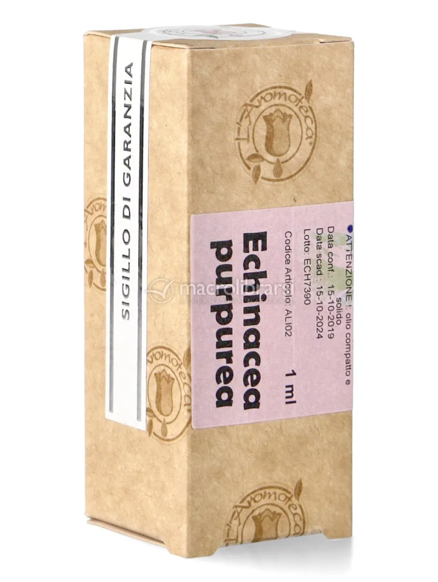 Echinacea Purpurea - Olio Compatto e Solido
