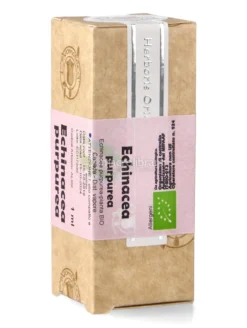 Echinacea Purpurea - Olio Compatto e Solido