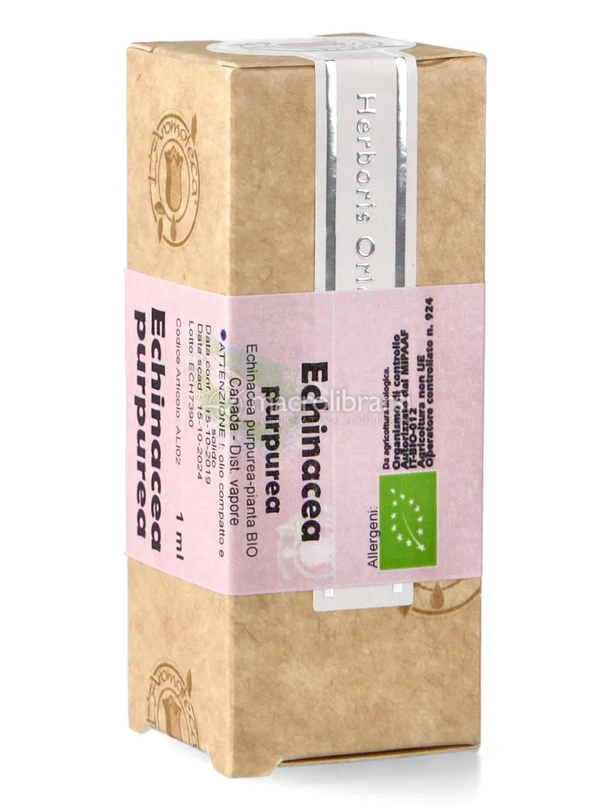 Echinacea Purpurea - Olio Compatto e Solido