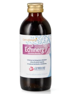 Echinerg