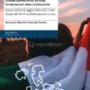 Educazione alla Cittadinanza