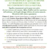 Effetto Biofilia
