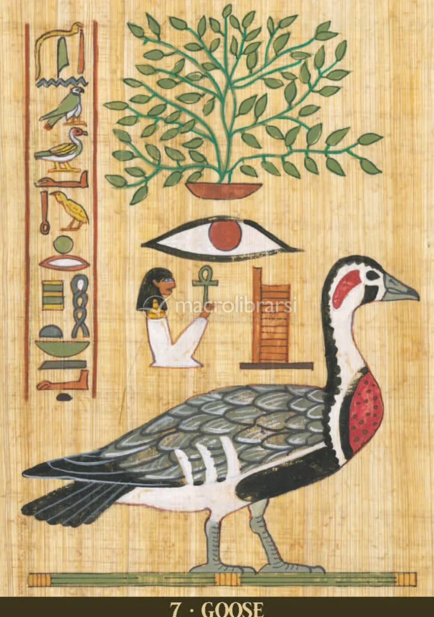 Egyptian Sacred Animals Oracle