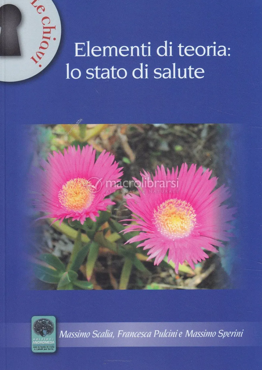 Elementi di Teoria: lo Stato di Salute