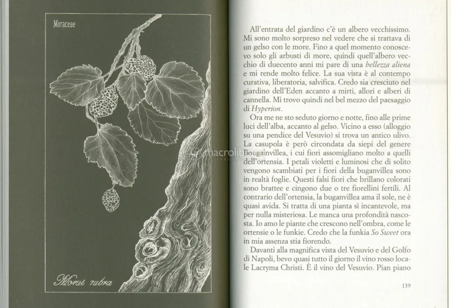 Elogio della Terra. Un Viaggio in Giardino
