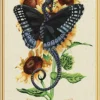 Enchanted Blossoms Empowerment Oracle