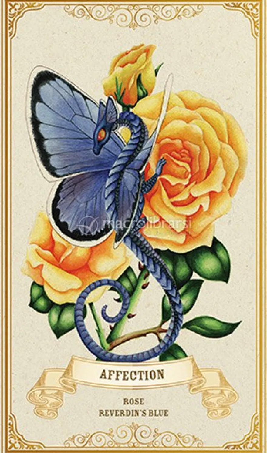 Enchanted Blossoms Empowerment Oracle