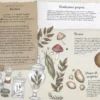 Enciclopedia della Magia