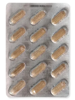 Endolgic Rapid