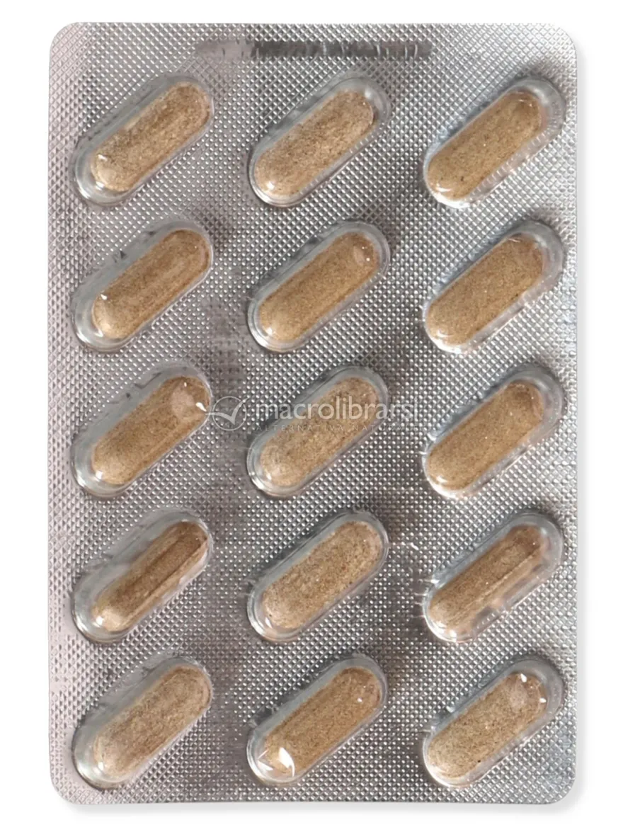 Endolgic Rapid