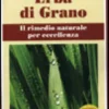 Erba di Grano