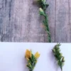 Erbe e Fiori di Montagna