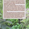 Erbe e Usi Popolari delle Aree Alpine