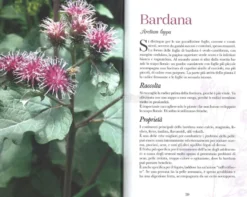 Erbette dell'Appennino