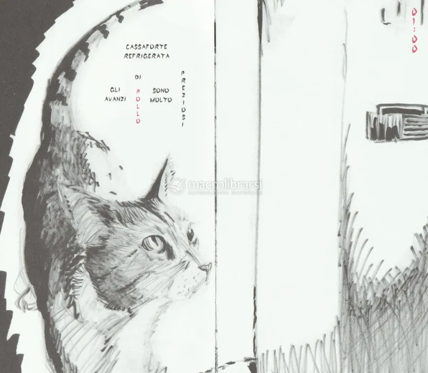 Essere Gatto e Tempo
