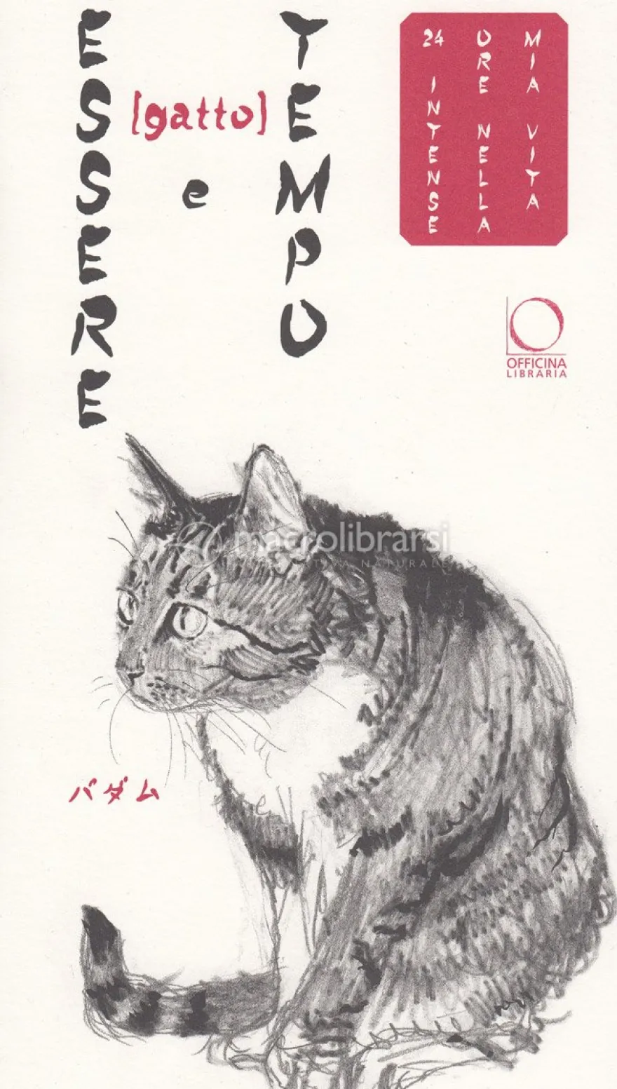 Essere Gatto e Tempo