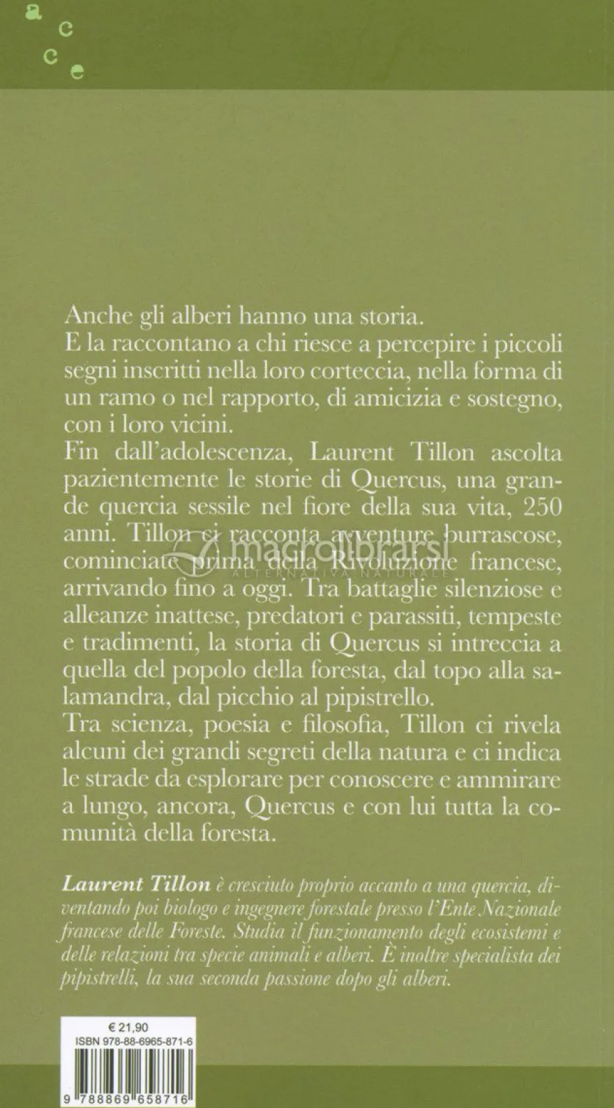 Essere una Quercia