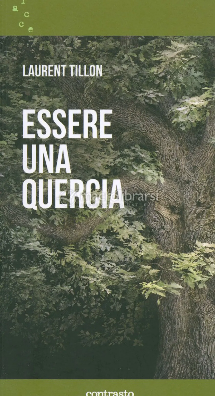 Essere una Quercia