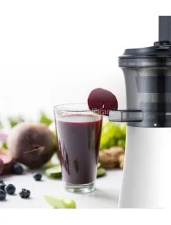 Estrattore di Succo Vivo Compact