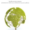 Etobioevoluzione