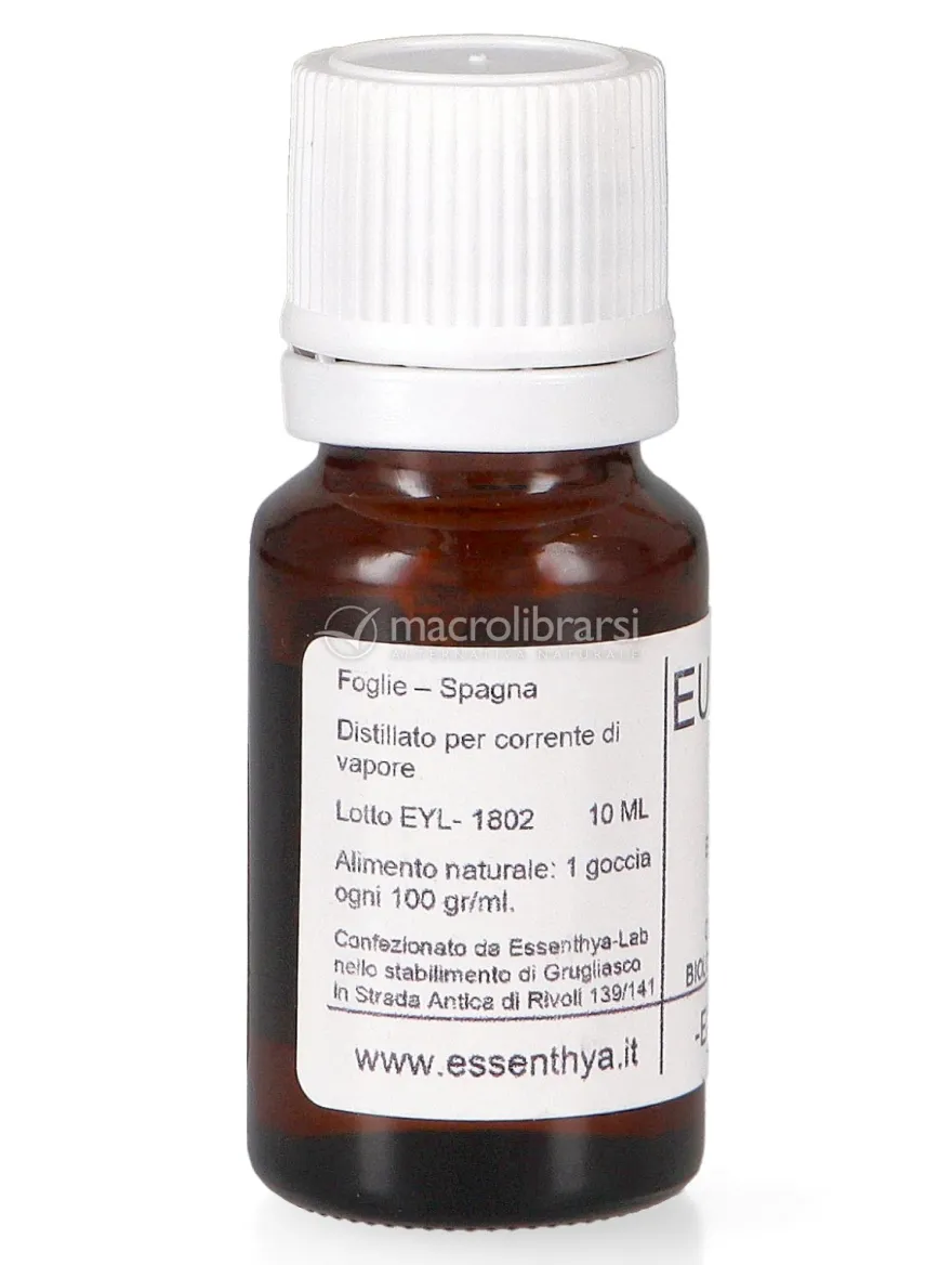 Eucalipto Bio - Olio Essenziale Puro