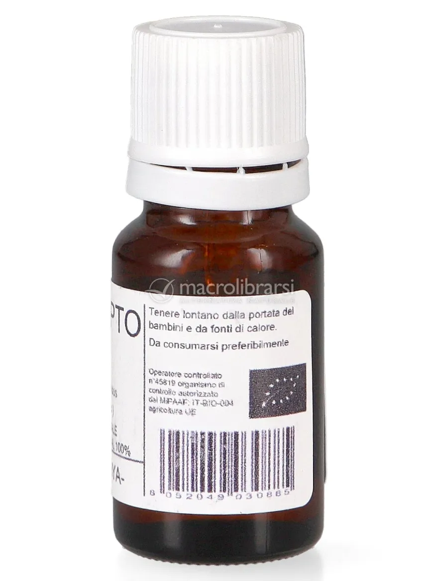 Eucalipto Bio - Olio Essenziale Puro