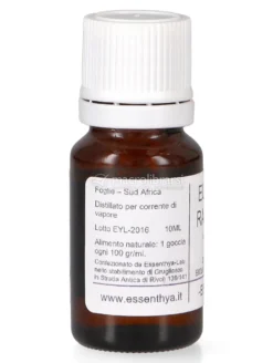Eucalipto Radiata Bio - Olio Essenziale Puro