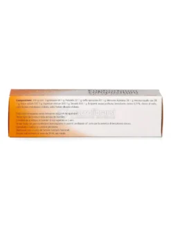 Euphorbium Compositum Heel Spray Nasale S