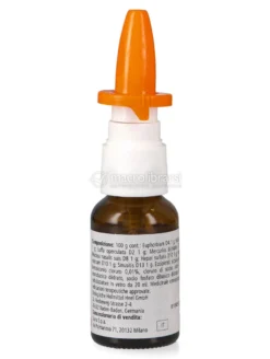 Euphorbium Compositum Heel Spray Nasale S