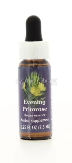Evening Primrose - Fiori californiani